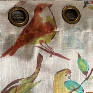 Pier 1 Sheer Bird Curtain Panels